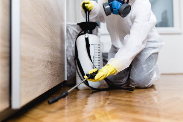 Best Exterminator Services  in Auburn, IL