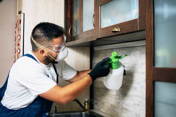 Best Affordable Pest Control Services  in Auburn, IL